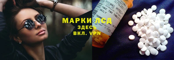 трава Бородино