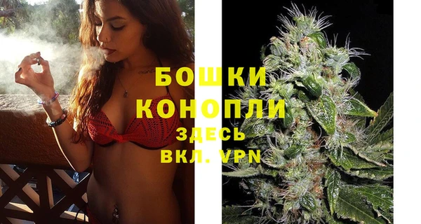 прущие грибы Переславль-Залесский